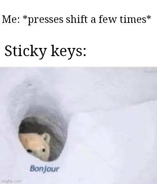 What is the point of sticky keys? | Me: *presses shift a few times*; Sticky keys: | image tagged in bonjour | made w/ Imgflip meme maker
