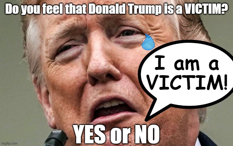 A strong leader doesn't constantly cry about how big of a victim he feels he is. | Do you feel that Donald Trump is a VICTIM? I am a
VICTIM! YES or NO | image tagged in donald trump,victim,hurt feelings,sad,weak,loser | made w/ Imgflip meme maker