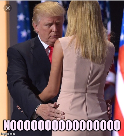 Trump & Ivanka | NOOOOOOOOOOOOOOOO | image tagged in trump ivanka | made w/ Imgflip meme maker