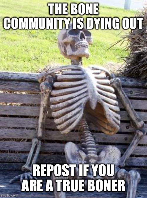 Waiting Skeleton | THE BONE COMMUNITY IS DYING OUT; REPOST IF YOU ARE A TRUE BONER | image tagged in memes,waiting skeleton | made w/ Imgflip meme maker
