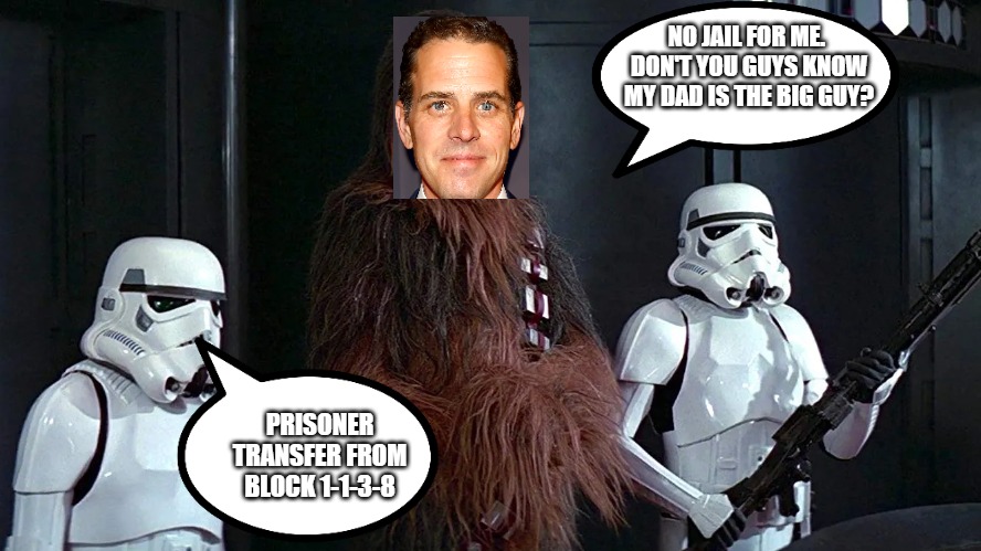 Hunter Biden | NO JAIL FOR ME.  DON'T YOU GUYS KNOW MY DAD IS THE BIG GUY? PRISONER TRANSFER FROM BLOCK 1-1-3-8 | image tagged in star wars | made w/ Imgflip meme maker