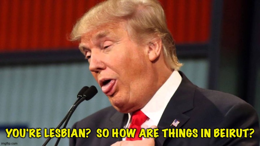 Stupid trump | YOU'RE LESBIAN?  SO HOW ARE THINGS IN BEIRUT? | image tagged in stupid trump | made w/ Imgflip meme maker