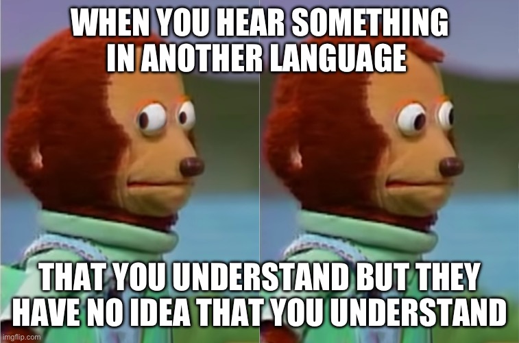 I am bilingual (Spanish and English) I am not of Hispanic descent (learned through school) and this is my life. | WHEN YOU HEAR SOMETHING IN ANOTHER LANGUAGE; THAT YOU UNDERSTAND BUT THEY HAVE NO IDEA THAT YOU UNDERSTAND | image tagged in puppet monkey looking away | made w/ Imgflip meme maker