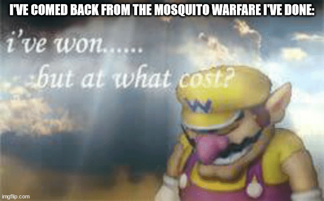 Mosquito warfare ending | I'VE COMED BACK FROM THE MOSQUITO WARFARE I'VE DONE: | image tagged in i've won but at what cost | made w/ Imgflip meme maker