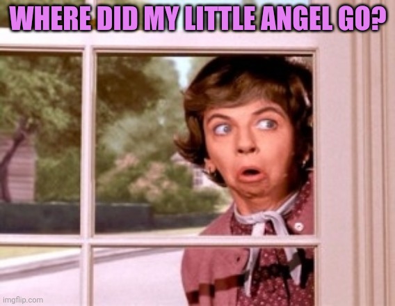 nosey neighbor | WHERE DID MY LITTLE ANGEL GO? | image tagged in nosey neighbor | made w/ Imgflip meme maker
