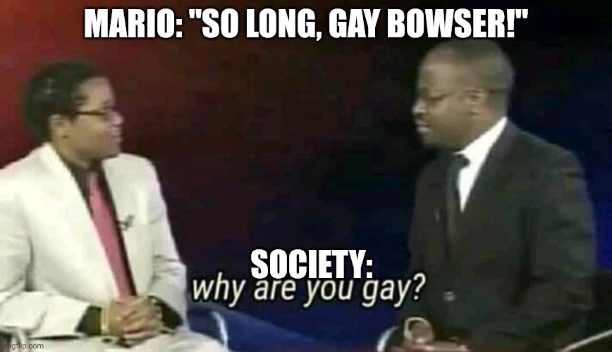 Why are you gay? | MARIO: "SO LONG, GAY BOWSER!"; SOCIETY: | image tagged in why are you gay | made w/ Imgflip meme maker