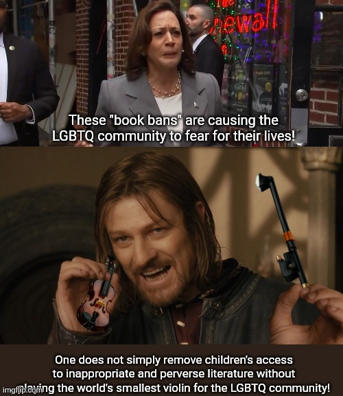 Fear for their lives | These "book bans" are causing the LGBTQ community to fear for their lives! One does not simply remove children's access to inappropriate and perverse literature without playing the world's smallest violin for the LGBTQ community! | image tagged in kamala harris,one does not simply,lgbtq,books,stupid liberals | made w/ Imgflip meme maker
