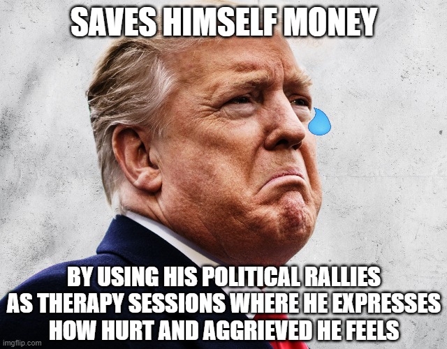 If you're going to listen to a crybaby like Trump whine about his feelings, you should be getting paid to be his therapist. | SAVES HIMSELF MONEY; BY USING HIS POLITICAL RALLIES
AS THERAPY SESSIONS WHERE HE EXPRESSES
HOW HURT AND AGGRIEVED HE FEELS | image tagged in donald trump,therapy,hurt feelings,crybaby,wait you guys are getting paid,free stuff | made w/ Imgflip meme maker