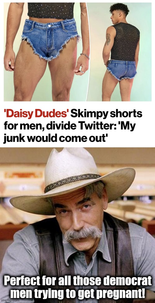 Daisy dudes | Perfect for all those democrat men trying to get pregnant! | image tagged in sarcasm cowboy,daisy dudes,democrats,joe biden | made w/ Imgflip meme maker