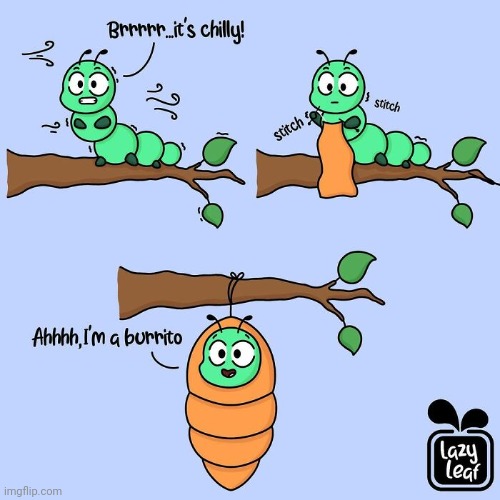 Caterpillar burrito | image tagged in caterpillar,burrito,burritos,comics,comics/cartoons,wholesome | made w/ Imgflip meme maker
