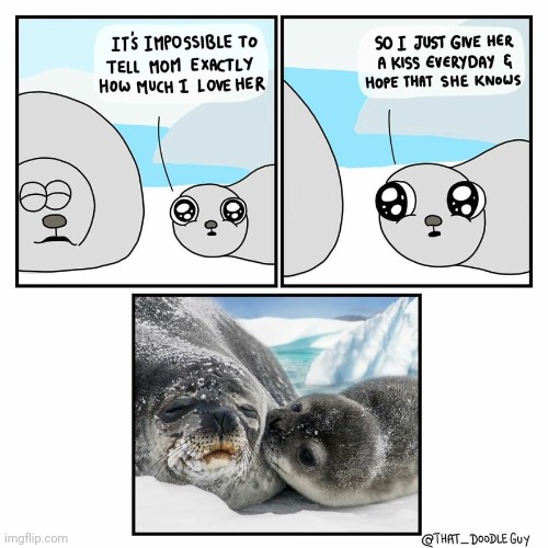 A kiss | image tagged in seals,seal,comics,comics/cartoons,wholesome,kiss | made w/ Imgflip meme maker