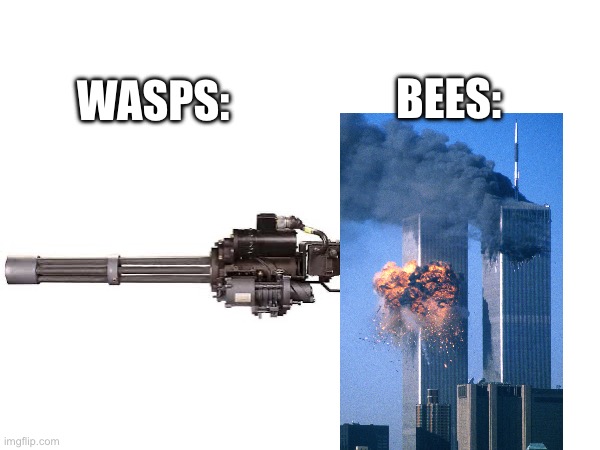 Title | BEES:; WASPS: | image tagged in funny,dark humor | made w/ Imgflip meme maker