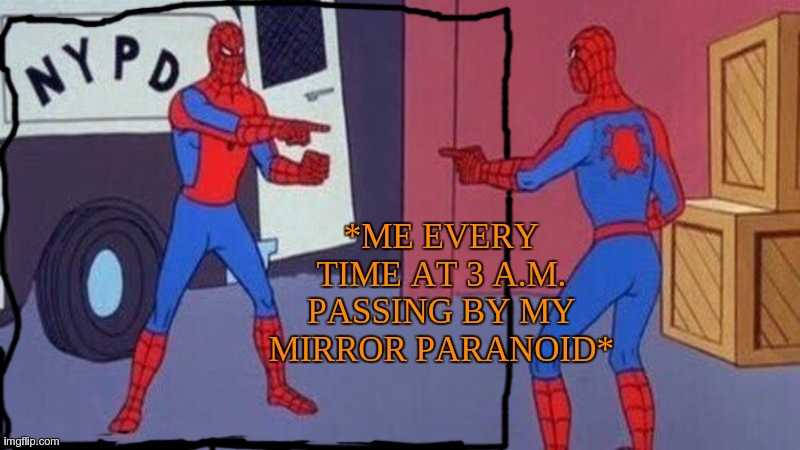 I'm paranoid. | *ME EVERY TIME AT 3 A.M. PASSING BY MY MIRROR PARANOID* | image tagged in spiderman pointing at spiderman | made w/ Imgflip meme maker
