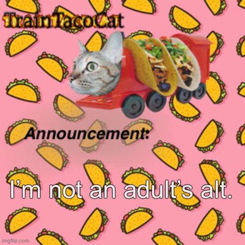 TrainTacoCat | I’m not an adult’s alt. | image tagged in traintacocat | made w/ Imgflip meme maker