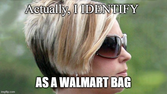 Karen | Actually, I IDENTIFY AS A WALMART BAG | image tagged in karen | made w/ Imgflip meme maker