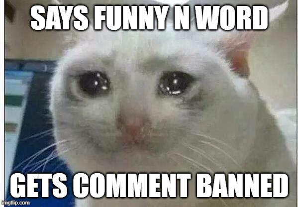 :( | SAYS FUNNY N WORD; GETS COMMENT BANNED | image tagged in crying cat | made w/ Imgflip meme maker