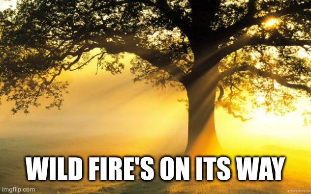 nature | WILD FIRE'S ON ITS WAY | image tagged in nature | made w/ Imgflip meme maker