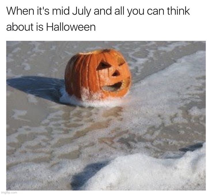 image tagged in memes,funny | made w/ Imgflip meme maker