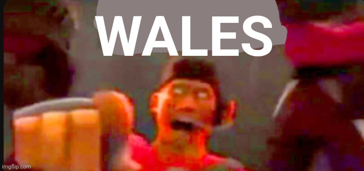 Tf2 scout pointing | WALES | image tagged in tf2 scout pointing | made w/ Imgflip meme maker