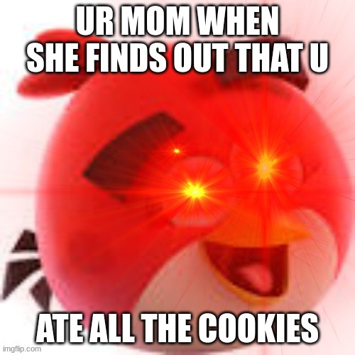 Angry Birds Meme (MAYBE THIS IS NOT UR MAMA, JUST TRYING TO BE FUNNY) | UR MOM WHEN SHE FINDS OUT THAT U; ATE ALL THE COOKIES | image tagged in angry birds,angry,cookies,sneak 100,mom | made w/ Imgflip meme maker