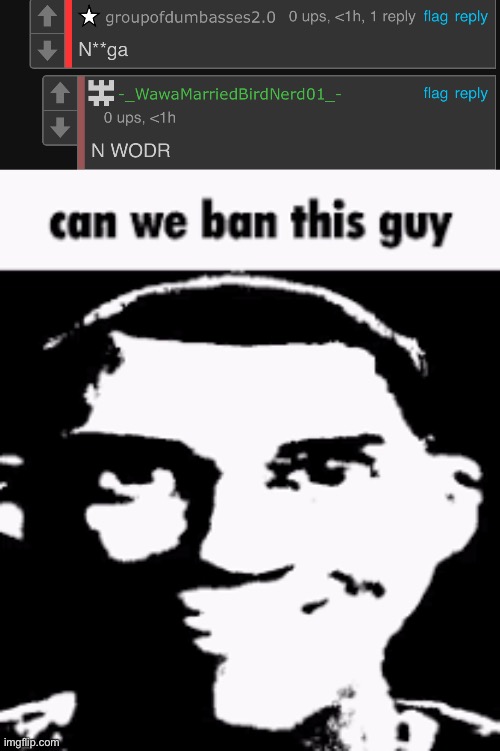 The top one | image tagged in can we ban this guy | made w/ Imgflip meme maker