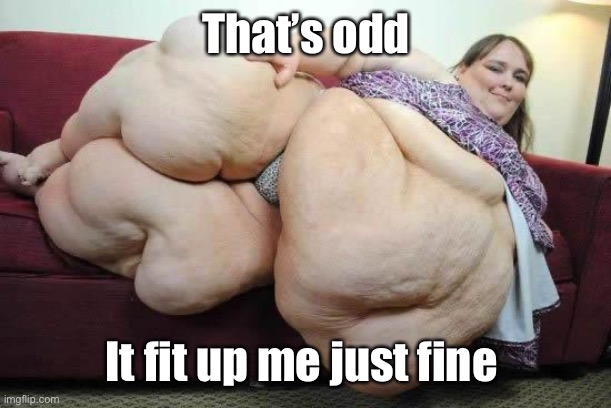 fat girl | That’s odd It fit up me just fine | image tagged in fat girl | made w/ Imgflip meme maker