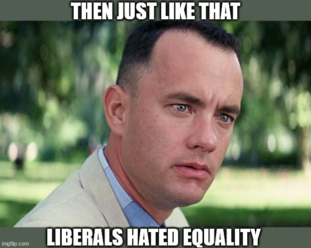 Forrest Gump - and just like that - HD | THEN JUST LIKE THAT; LIBERALS HATED EQUALITY | image tagged in forrest gump - and just like that - hd,liberals hate equality | made w/ Imgflip meme maker