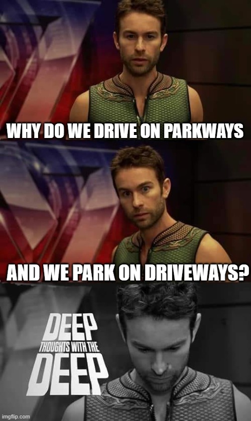 shower thoughts #14 | WHY DO WE DRIVE ON PARKWAYS; AND WE PARK ON DRIVEWAYS? | image tagged in deep thoughts with the deep,memes,deep thoughts,shower thoughts | made w/ Imgflip meme maker