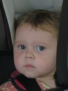 Jud Toddler Blank Meme Template