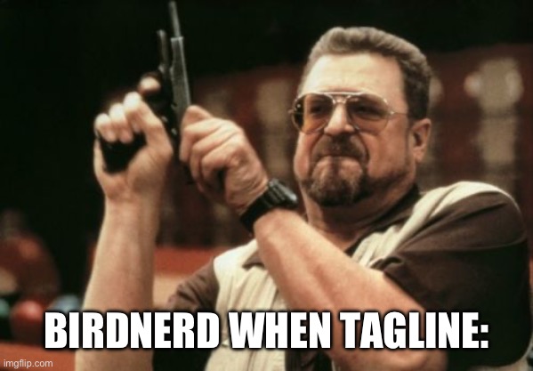 Am I The Only One Around Here Meme | BIRDNERD WHEN TAGLINE: | image tagged in memes,am i the only one around here | made w/ Imgflip meme maker