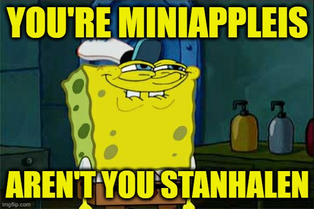 Don't You Squidward Meme | YOU'RE MINIAPPLEIS AREN'T YOU STANHALEN | image tagged in memes,don't you squidward | made w/ Imgflip meme maker