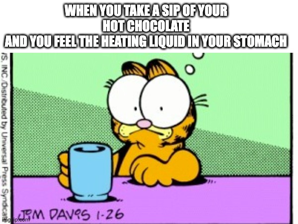 Garfield Meme | WHEN YOU TAKE A SIP OF YOUR HOT CHOCOLATE
AND YOU FEEL THE HEATING LIQUID IN YOUR STOMACH | image tagged in garfield,hot chocolate | made w/ Imgflip meme maker