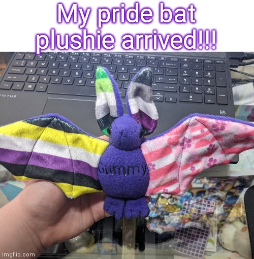 I got it from SkyeBluez on etsy! it has the aro, ace, enby, and sapphic flags on it!! | My pride bat plushie arrived!!! | image tagged in aromantic,asexual,nonbinary,sapphic,lgbtq | made w/ Imgflip meme maker