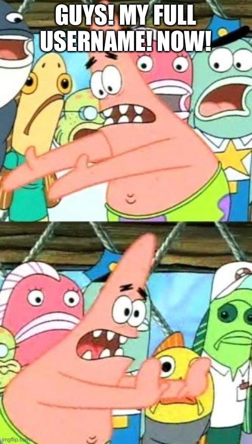 Put It Somewhere Else Patrick Meme | GUYS! MY FULL USERNAME! NOW! | image tagged in memes,put it somewhere else patrick | made w/ Imgflip meme maker