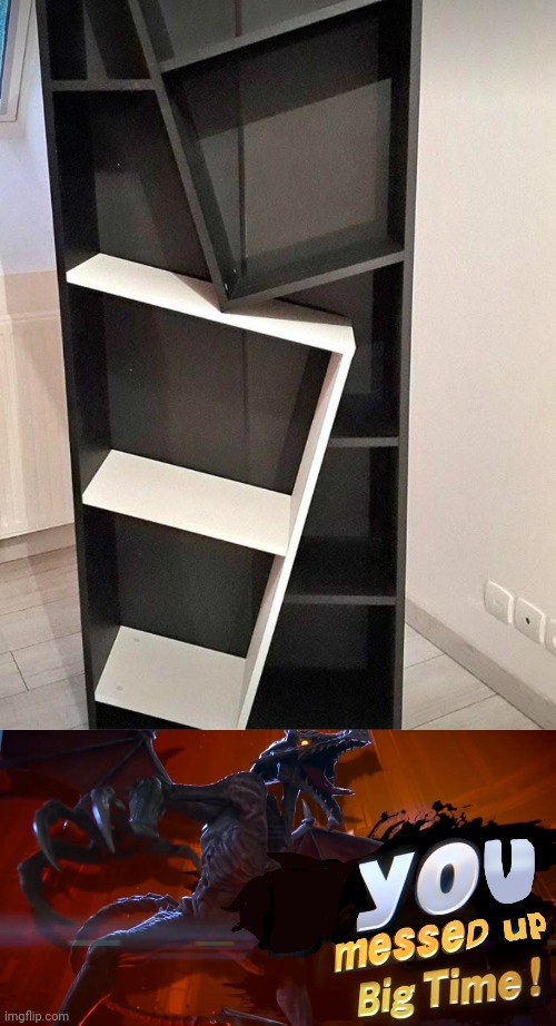 Crappy shelf | image tagged in ridley you messed up big time,shelf,shelves,you had one job,memes,crappy design | made w/ Imgflip meme maker
