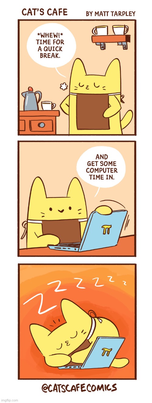 Computer time | image tagged in cat,computer | made w/ Imgflip meme maker