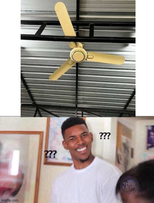 Fan | image tagged in black guy confused | made w/ Imgflip meme maker