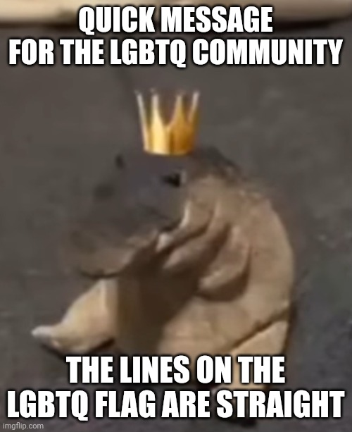 a message from the lgbtq community | QUICK MESSAGE FOR THE LGBTQ COMMUNITY; THE LINES ON THE LGBTQ FLAG ARE STRAIGHT | image tagged in lgbtq,memes,funny,lines,flag,lgbtq flag | made w/ Imgflip meme maker