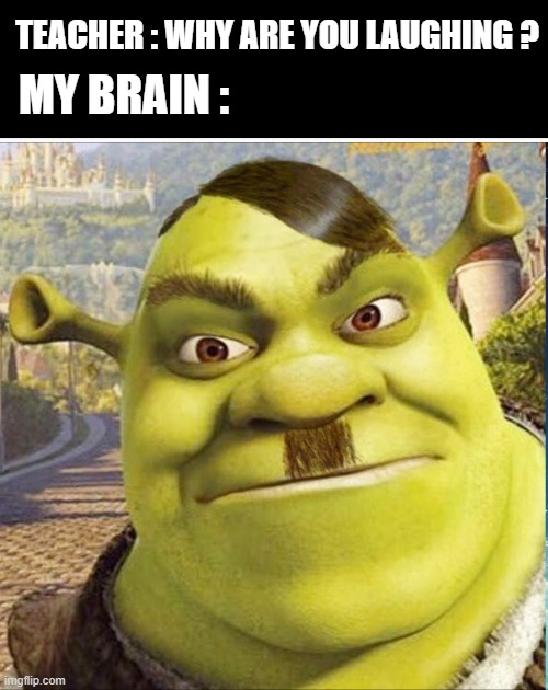 What's so funny ? | TEACHER : WHY ARE YOU LAUGHING ? MY BRAIN : | image tagged in hitler shrek | made w/ Imgflip meme maker