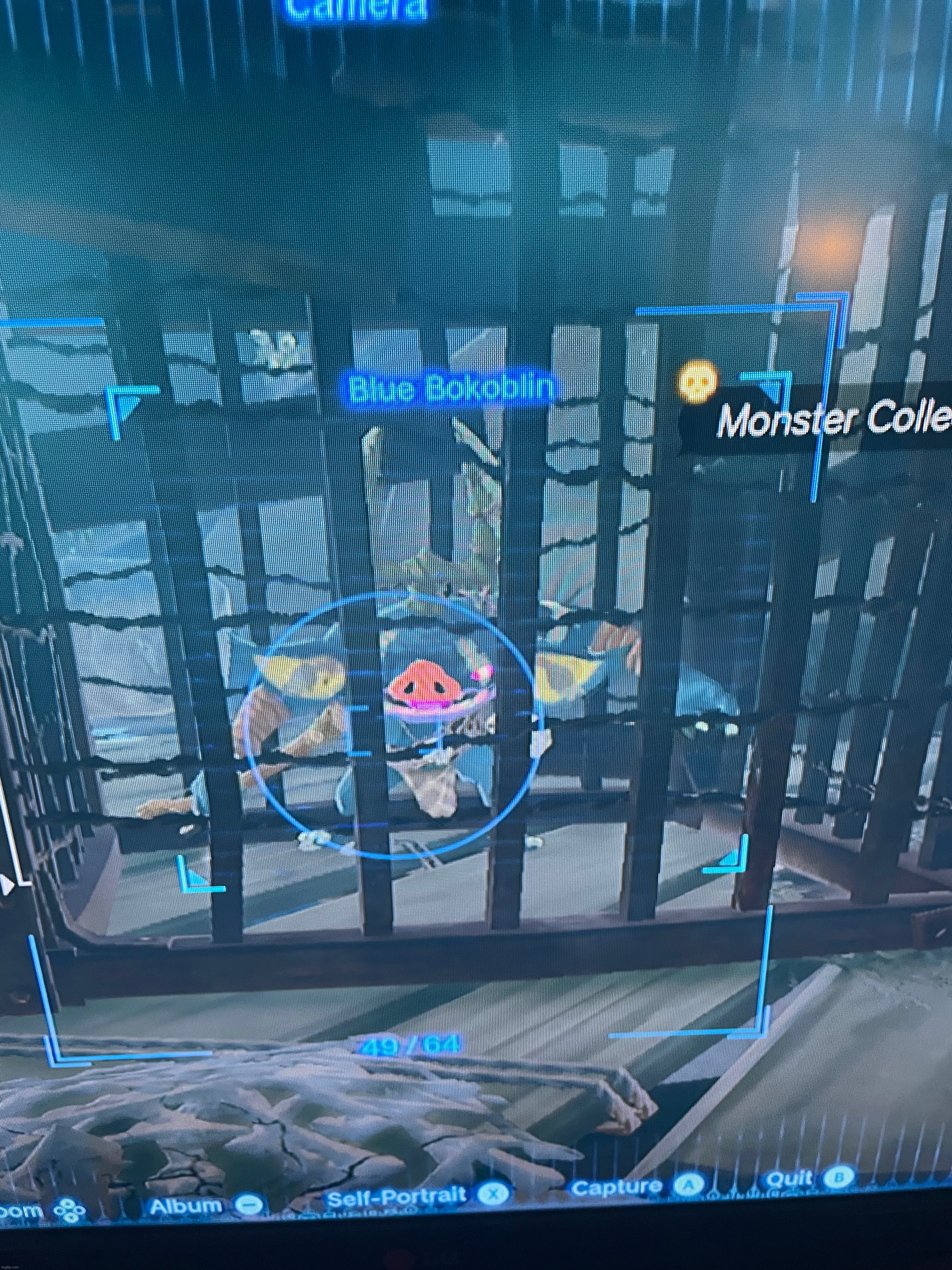 I have trapped a blue bokoblin and I plan to punish him. How should I punish him? | made w/ Imgflip meme maker