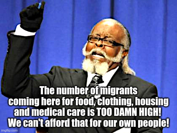 The Number of Migrants is Too Damn High! | The number of migrants
coming here for food, clothing, housing
and medical care is TOO DAMN HIGH! 
We can't afford that for our own people! | image tagged in joe biden,migrants,illegal immigrants,too damn high | made w/ Imgflip meme maker