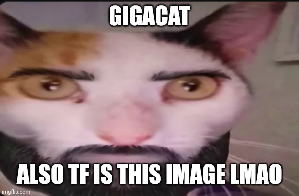 Gigacat | GIGACAT ALSO TF IS THIS IMAGE LMAO | image tagged in gigacat | made w/ Imgflip meme maker