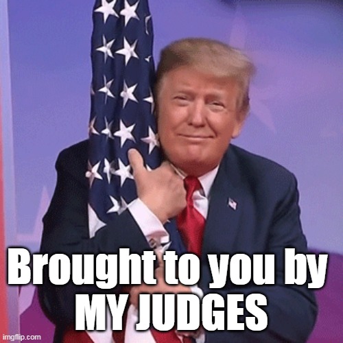 Brought to you by 
MY JUDGES | made w/ Imgflip meme maker