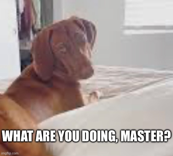 Speaking of borderline content | WHAT ARE YOU DOING, MASTER? | made w/ Imgflip meme maker