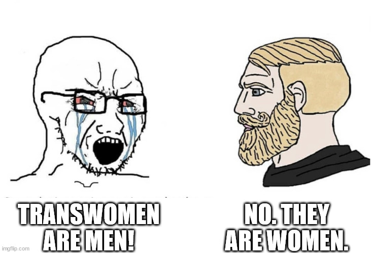 TERFS BE LIKE | NO. THEY ARE WOMEN. TRANSWOMEN ARE MEN! | image tagged in soyboy vs yes chad | made w/ Imgflip meme maker