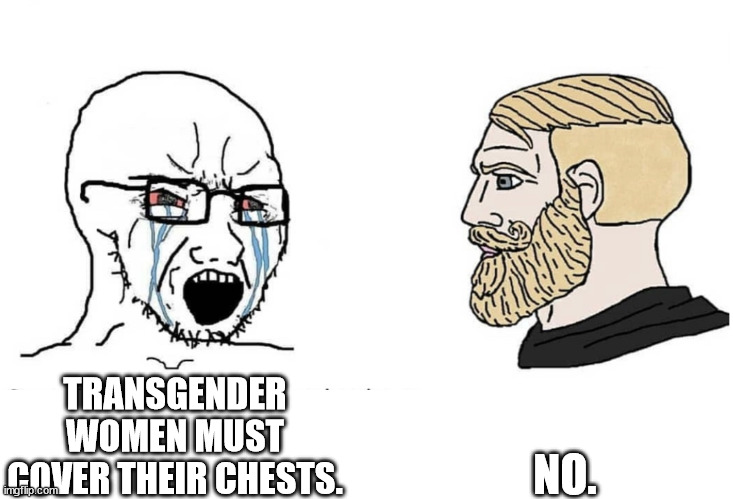 TERFS BE LIKE | NO. TRANSGENDER WOMEN MUST COVER THEIR CHESTS. | image tagged in soyboy vs yes chad | made w/ Imgflip meme maker