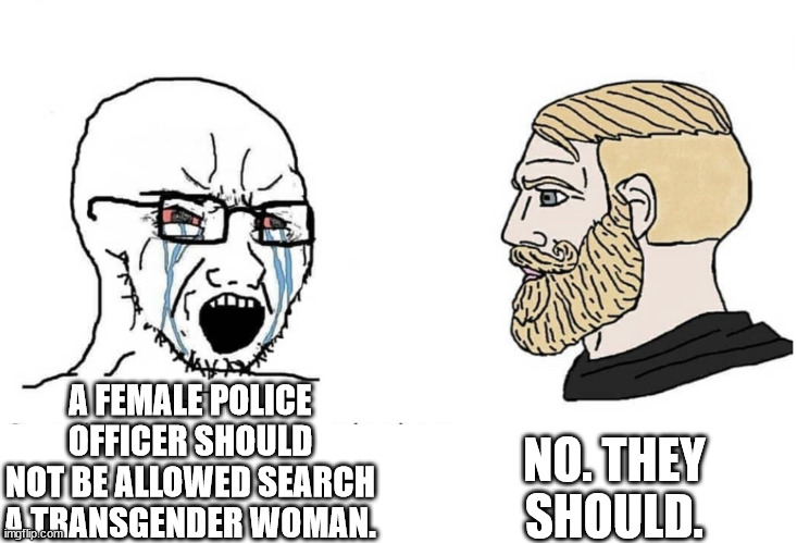 TERFS BE LIKE | NO. THEY SHOULD. A FEMALE POLICE OFFICER SHOULD NOT BE ALLOWED SEARCH A TRANSGENDER WOMAN. | image tagged in soyboy vs yes chad | made w/ Imgflip meme maker