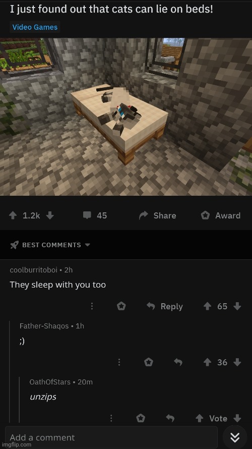 #2,246 | image tagged in comments,cursed,minecraft,cats,bed,unzip | made w/ Imgflip meme maker