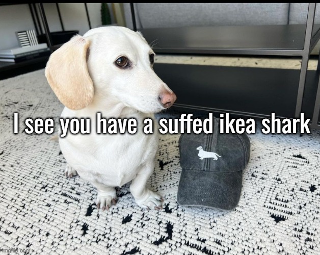 I see you have a suffed ikea shark | made w/ Imgflip meme maker