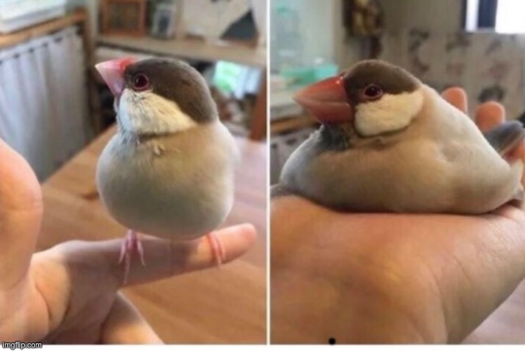 Do your thighs ever do the thing when you sit down | made w/ Imgflip meme maker